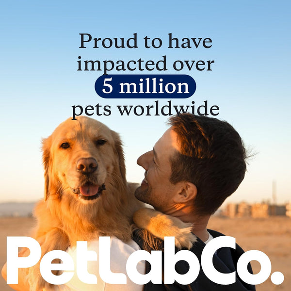 Petlab Co. Probright Advanced Dental Powder - Dog Breath Freshener - Teeth Cleaning Made Easy â Targets Tartar & Bad Breath - Formulated for Small
