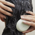 Tea Tree Special Shampoo, Deep Cleans, Refreshes Scalp, Especially Oily Hair, for All Hair Types