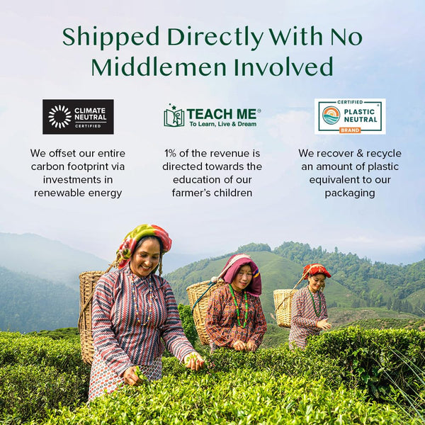 VAHDAM, Assorted Herbal Tea Variety Pack (6 Variants, 36 Tea Bags) Caffeine Free, Gluten Free, Non GMO | Eco Friendly Long Leaf Pyramid Tea Bags I
