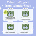 Plant People Wondersleep Mushroom Gummies Supplement for Sleep and Relaxation with Reishi Super Mushrooms, Wild Elderberry Flavor, No Sugar (60 Count)