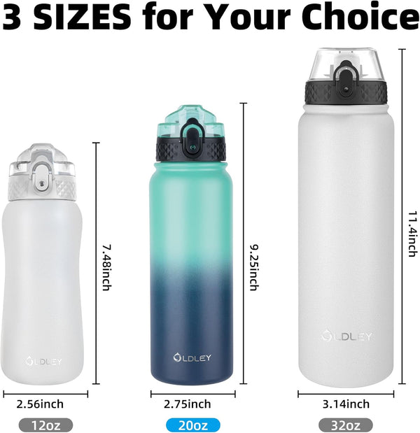 Oldley Insulated Water Bottle 20Oz for Adults Kids Stainless Steel Water Bottles with Straw/Chug/Carabiner 3 Lids Fruit Strainer Double Wall