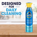 Pledge pH-Balanced Multisurface Spray, Gently Clean 101 Surfaces, Remove Dust and Messes, No Residue - Rainshower Scent, 9.7oz 9.7 Ounce (Pack of 1)