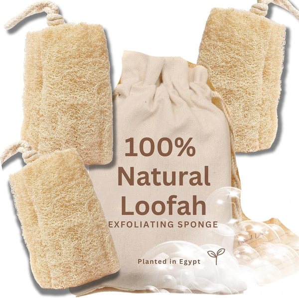 All Natural Loofah Sponge, Pack of 3 Real Egyptian Bath & Shower Exfoliating Loofa Scrubber Sponges for Face, Back & Body, Eco Friendly, No Toxic Chemicals, 6" X 6" by Crafts of Egypt