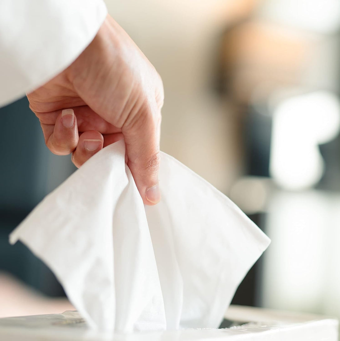 Amazon Basics Facial Tissue, 2-Ply, 160 Tissues per Box, 4 Boxes (640 Total) (Previously Solimo)