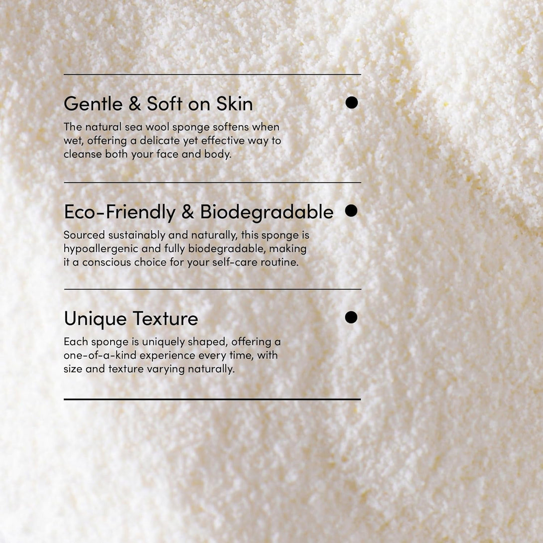 LATHER - Natural Sea Wool Sponge, 4-5" - Organic Exfoliating Body Scrubber - Soft, Gentle Cleansing - Hypoallergenic - All Skin Types - Florida Natural Loofah Sponge - Cruelty Free - Beauty & Skincare
