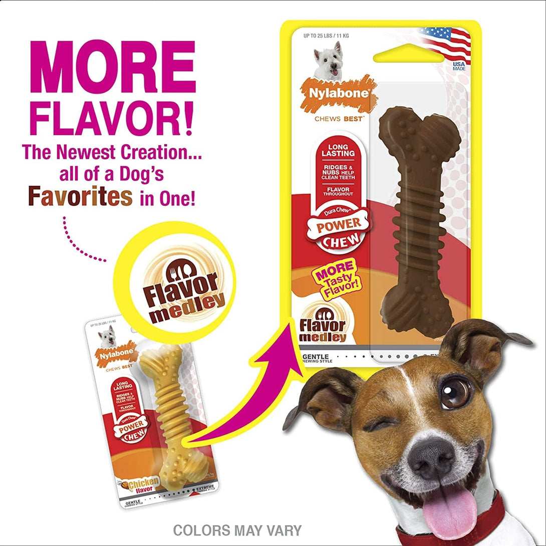 Nylabone Textured Dental Bone Power Chew Toy for Dogs, Dog Toys for Aggressive Chewers, Flavor Medley Flavor, Small - up to 25 Ibs, 1 Count