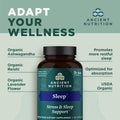 Ancient Nutrition Ashwagandha for Sleep Support, for Stress and Sleep Support, Promotes Mental Relaxation, Gluten Free, Paleo and Keto Friendly,
