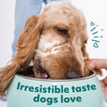 Optimeal Puppy Toy Breed Dog Food - Premium Dry Recipe for Small and Toy Breed Puppies - Skin and Digestive Support (3.3 Lb, Lamb & Rice)