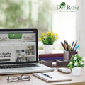 Der Rose 2 Pack Fake Plants Mini Artificial Faux Plants with Flowers for Home Office Table Room Farmhouse Decor Indoor