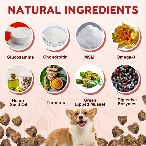 Glucosamine for Dogs, Joint Supplement for Dogs with Chondroitin, MSM, Omega-3, Turmeric and Vitamins for Pain Relief, Dog Joint Supplement with