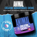 Animal Creatine Chews Tablets - Enhanced Creatine Monohydrate with Astragin to Improve Absorption, Sea Salt for Added Pumps, Delicious and