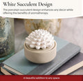 AiromÃ© White Succulent, Porcelain Passive Essential Oil Diffuser (With 15Ml Peppermint Essential Oil) â Non-Electric, Battery-Free, Improves