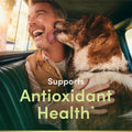 Nature's Bounty Vitamin E 1000 IU Softgels, Supports Antioxidant Health & Immune System, 1 Serving per Day, No Gluten, 60 Softgels (Pack of 1) 60