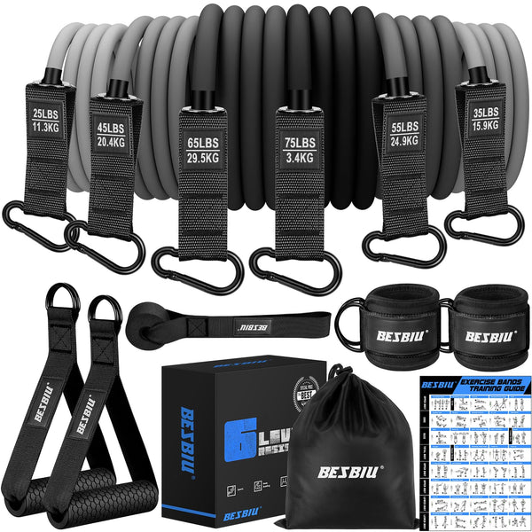 Heavy Exercise Bands Resistance Bands for Working Out, 300Lbs/360Lbs Fitness Workout Bands with Handles, Door Anchor, Leg Ankle Straps, Home Gym