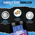 Animal Creatine Chews Tablets - Enhanced Creatine Monohydrate with Astragin to Improve Absorption, Sea Salt for Added Pumps, Delicious and