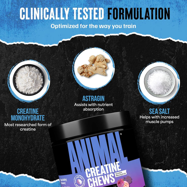 Animal Creatine Chews Tablets - Enhanced Creatine Monohydrate with Astragin to Improve Absorption, Sea Salt for Added Pumps, Delicious and