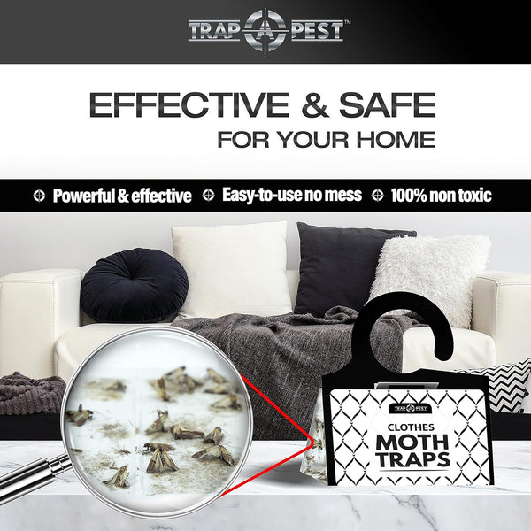TRAP a PEST Clothing Moth Traps - 8 Pack - Non Toxic Moth Traps for Clothes with Pheromone Attractant - Odorless Sticky Traps for Closet, Carpets