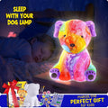 Paint Your Own Dog Lamp Kit, Art Supplies Arts & Crafts Kit, Painting Kit for Kids 6-12, Arts and Crafts for Kids Ages 8-12, Toys Girls Boy