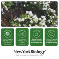 New York Biology Tea Tree Body Wash for Men and Women - Moisturizing Body Wash Helps Soothe Itchy Skin, Jock Itch, Athletes Foot, Nail Fungus,