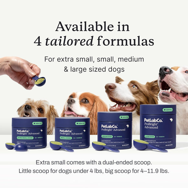 Petlab Co. Probright Advanced Dental Powder - Dog Breath Freshener - Teeth Cleaning Made Easy â Targets Tartar & Bad Breath - Formulated for Small