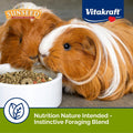 Sunseed Vita Prima Complete Nutrition Guinea Pig Food, 4 LBS (59770)
