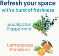 Clorox Disinfecting Mist, Lemongrass Mandarin, Household Essentials, 3 Refills, 16 Fl Oz Each