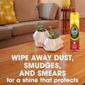 Pledge Moisturizing Wood Oil, Furniture Reviving Spray, Amber & Argan Scent, 9.7Oz