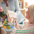 LESES Turtle Succulent Pot Planters for Indoor Plants with Drainage Hole, Flower Garden Cute Pots for Plants, Succulent, Cactus Home Office Desk