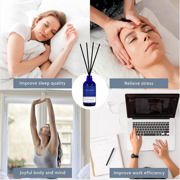 Reed Diffusers Set, 3.7 Oz Scent Diffuser, 6 Reed Diffuser Sticks, Home Fragrance Hyacinth, Peony & Citrus, Aromatherapy Oil Diffuser Reeds, More