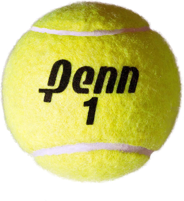 Penn Championship High Altitude Tennis Balls - Extra Duty Felt Pressurized Tennis Balls