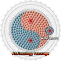 Yinyang Balance Foot Massage Mat 2 Pack, Tai Ji Bagua Pattern with Magnetic Therapy, Custom Color Acupressure Reflexology Mat for Daily