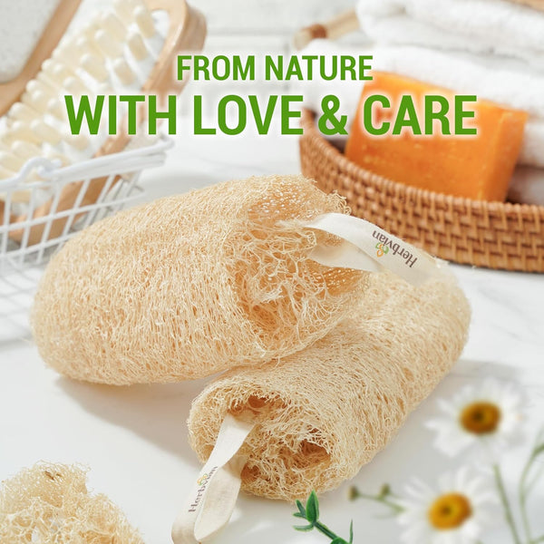 Natural Vietnamese Loofah Sponge, 100% Plant-Based Luffa Exfoliating Body Scrubber for Shower, Multi-Functional for Kitchen, Ideal for Men &