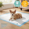MED PRIDE Disposable Underpads 23'' X 36'' Incontinence Pads, Chux, Bed Covers, Puppy Training | Thick, Super Absorbent Protection for Kids,
