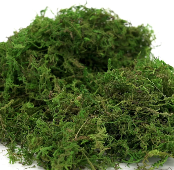 Usmola Fake Moss, Artificial Green Moss for Potted Plants Fairy Garden Accessories, 4OZ (Fresh Green)