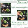 Frank Cactus, Non-Electric Ceramic Diffusers for Essential Oils and Aromatherapy Fragrance, White Ceramic Diffusers in Car or Desk Office Decor