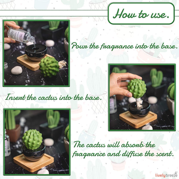 Frank Cactus, Non-Electric Ceramic Diffusers for Essential Oils and Aromatherapy Fragrance, White Ceramic Diffusers in Car or Desk Office Decor