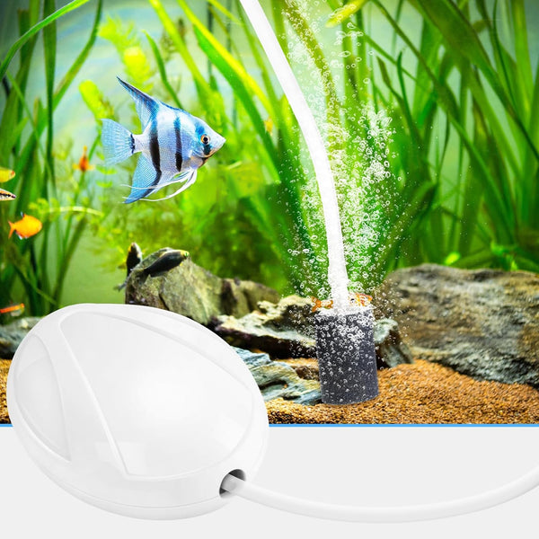 AQUANEAT Aquarium Air Pump, 20 Gallon Fish Tank Air Pump, Fish Bubbler, Hydroponic Oxygen Aerator, with Airline Tubing, Stone, Check Valve