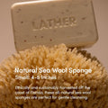 LATHER - Natural Sea Wool Sponge, 4-5" - Organic Exfoliating Body Scrubber - Soft, Gentle Cleansing - Hypoallergenic - All Skin Types - Florida