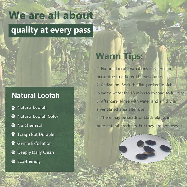 Natural Loofah Sponge Shower Organic Luffa Bath Loofa Exfoliating Body Scrubber Loofah for Men Women Adults Back Face Body Skin SPA Care - 6 Pieces