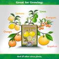Down to Earth Organic Citrus Fertilizer Mix 6-3-3, 1 Lb