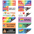 Ricabili LGBTQ Pride Prank Bumper Stickers - 12Pcs Rainbow Pride Funny LGBTQ Prank Bumper Stickers Strong Magnetic Car Home Decor Good LGBTQ Gift