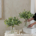 Zheart Fake Eucalyptus Stems in Glass Vase with Faux Water,14" Artificial Plants Eucalyptus Leaves for Shelf Desk Bathroom Farmhouse Room Coffee
