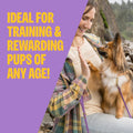 Wellness Puppy Treats, Natural, Training Treat, Grain Free, Soft Lamb & Salmon (3 Ounce Bag)