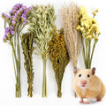 Sukh Herb Bedding Habitat Decor - Natural Flower Hamster Mate Herbs Sprays Cage Safe Pet Accessories Decorations Hideout for Hamsters Mouse Guinea