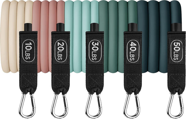 Retrospec Train Resistance Bands Set (5Pc) Workout Bands W/Handles, Door Anchor, Carry Bag for Women & Men