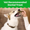 Greenies Original Regular Natural Dental Care Dog Treats, 12 Oz. Pouch (12 Treats)