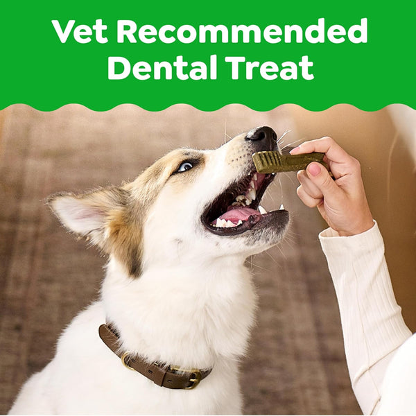 Greenies Original Petite Natural Dental Care Dog Treats, 6 Oz. Pouch (10 Treats)