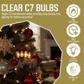 Iconikal 24-Count C7 Night Light Candelabra Bulbs 5-Watt, Clear for Lamps Nightlights Lanterns String Lights