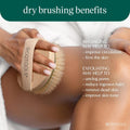 Ecotools Dry Body Brush, Cruelty-Free Bristles Exfoliate & Smooth Skin, Dry Brushing Removes Dry Skin, May Help Improve Circulation & Skin Tone,