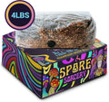 4 LB All-In-One Grow Kit: up to 64Oz of Mushrooms! Nutrient-Enhanced, Injection Port, Just Add Your Own Spores & Grow like Magic (4 LB Bag)